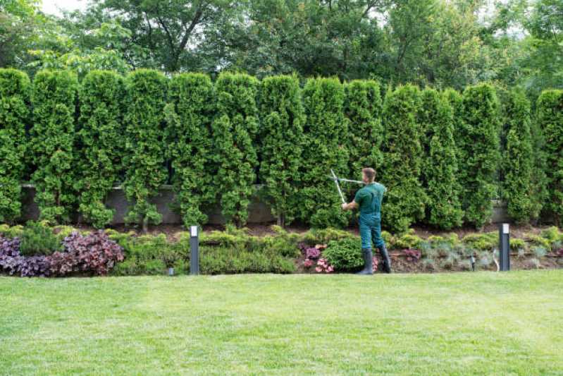 Manutenção de Paisagismo em Prédios Santa Isabel - Manutenção de Jardinagem e Paisagismo