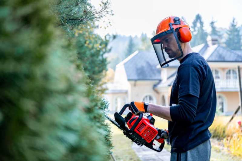 Manutenção de Paisagismo Jardim Externo Preço Barro Branco - Manutenção de Paisagismo em Empresas