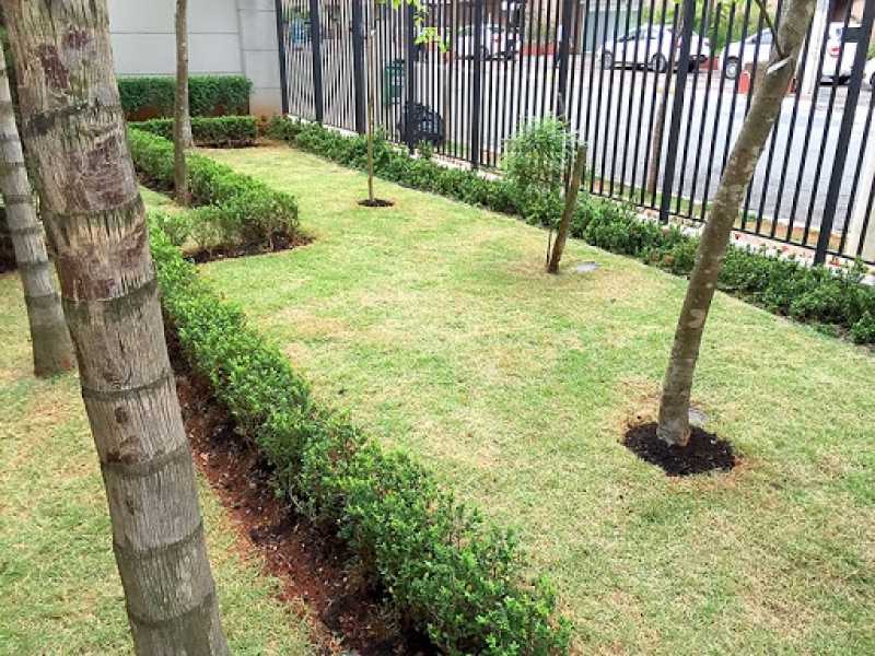 Manutenção em Jardins Jaçanã - Construção e Manutenção de Jardins