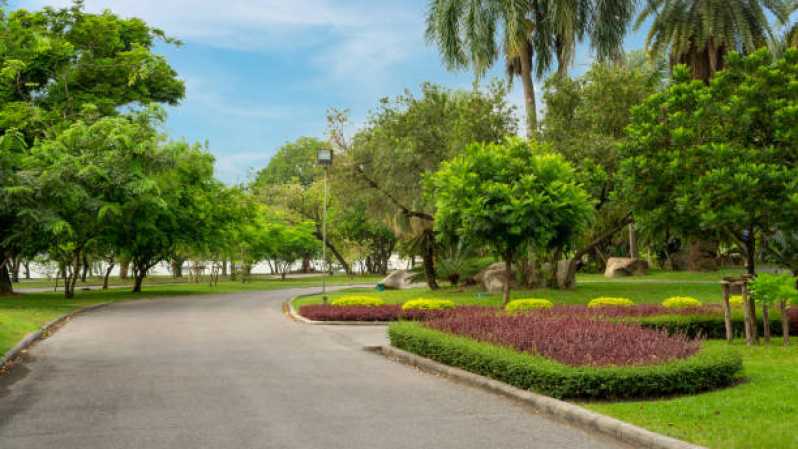 Onde Faz Manutenção de Paisagismo em Condomínios Parque Mandaqui - Manutenção de Paisagismo em Condomínios