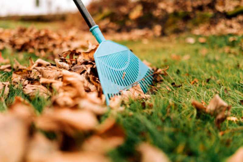 Onde Faz Serviço de Limpeza de Jardim em Prédios Região Central - Serviço de Limpeza de Jardim em Prédios