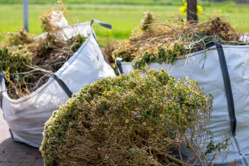 Onde Faz Serviço de Limpeza de Jardins e Terrenos Campo Grande - Serviço de Limpeza em Prédios Comerciais