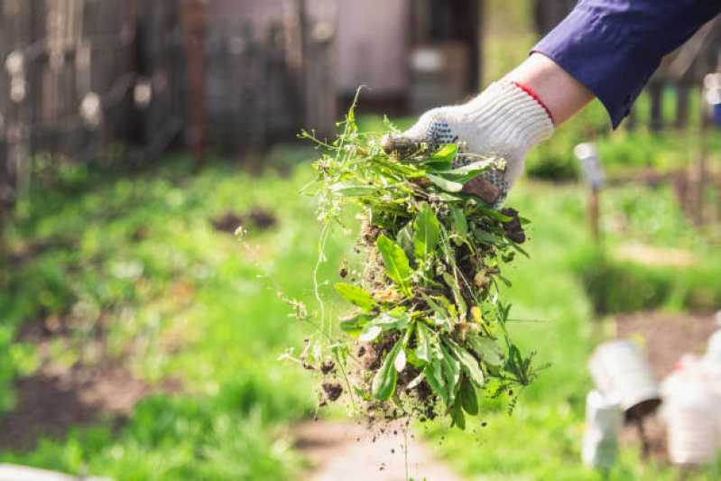 Onde Faz Serviço de Limpeza em Prédios Comerciais MUTINGA - Serviço de Limpeza de Jardim