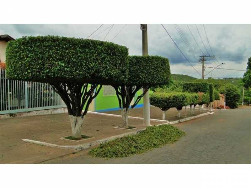 Poda de árvores de Jardim Jardim Guarapiranga - Poda para Plantas de Jardim