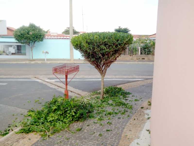 Poda de Jardim Residencial Valor Poá - Poda de árvores de Jardim