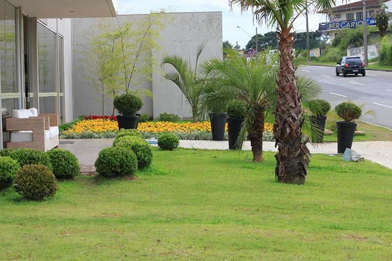 Poda em Jardim Valor Paineiras do Morumbi - Poda em Jardim