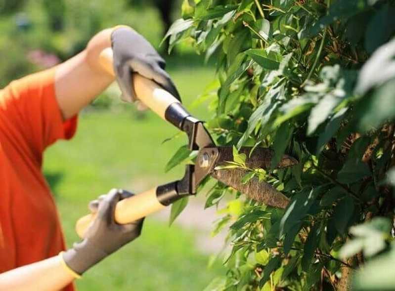 Poda para Plantas de Jardim Valor Jardim Novo Mundo - Poda de Jardim