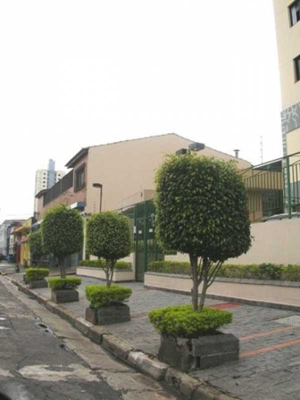 Preço de Poda de árvores de Jardim São Paulo - Poda de Jardim Vertical