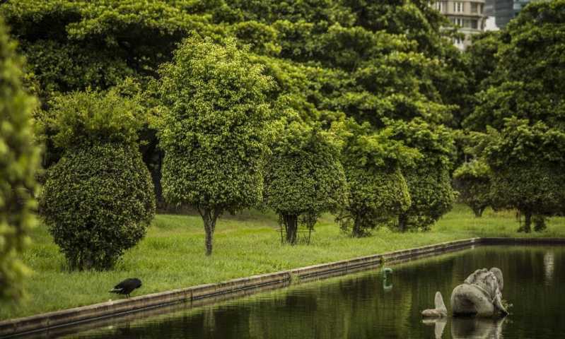 Preço de Poda de Jardim Taboão da Serra - Poda para Plantas de Jardim