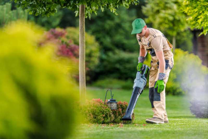 Preço de Serviço de Limpeza de Jardim em Prédios Pari - Serviço de Limpeza de Terrenos e Jardins