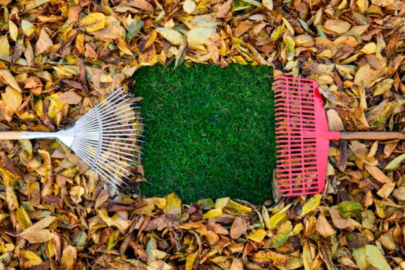Preço de Serviço de Limpeza de Jardim Vertical Parque Anhembi - Serviço de Limpeza de Terrenos e Jardins