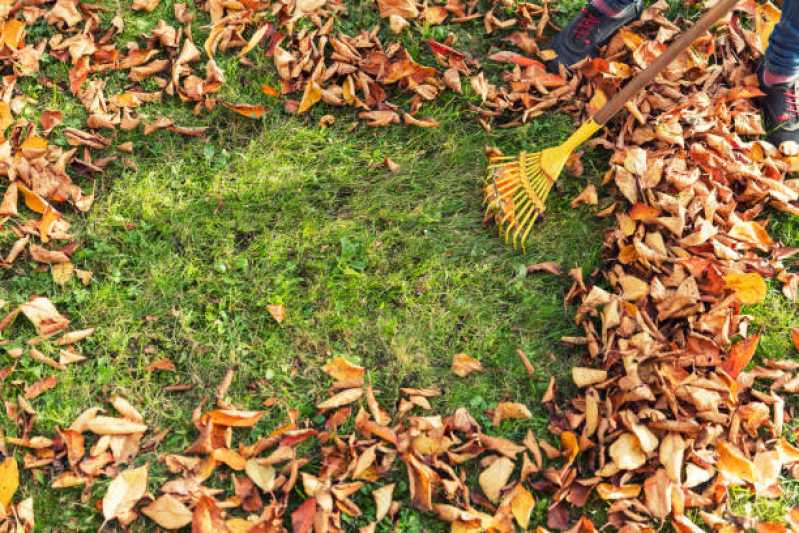 Preço de Serviço de Limpeza de Jardins Verticais Nossa Senhora do Ó - Serviço de Limpeza em Prédios Comerciais