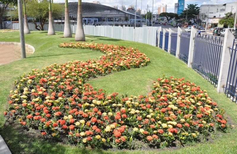 Projeto Paisagismo Praça Grajau - Projeto de Paisagismo Residencial