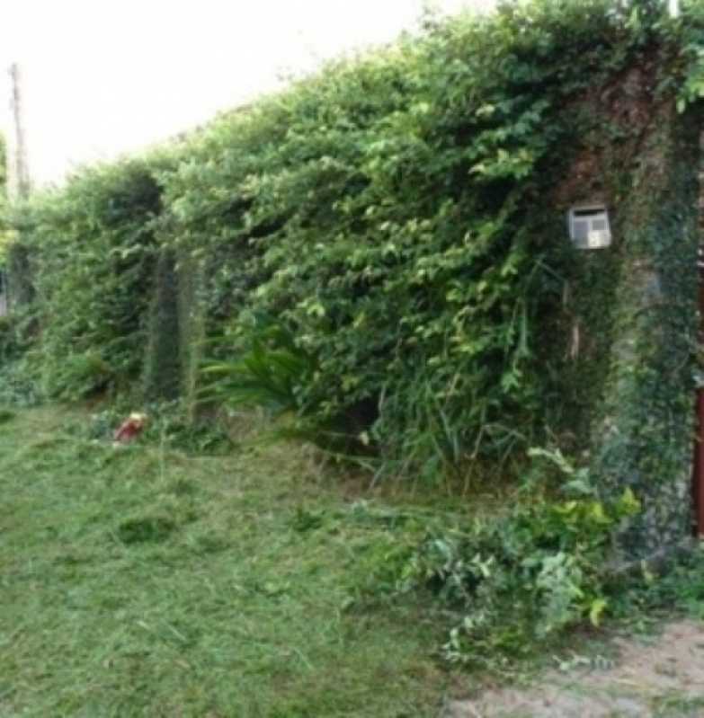 Qual o Preço de Serviço de Jardinagem com Poda Barueri - Serviço de Jardinagem