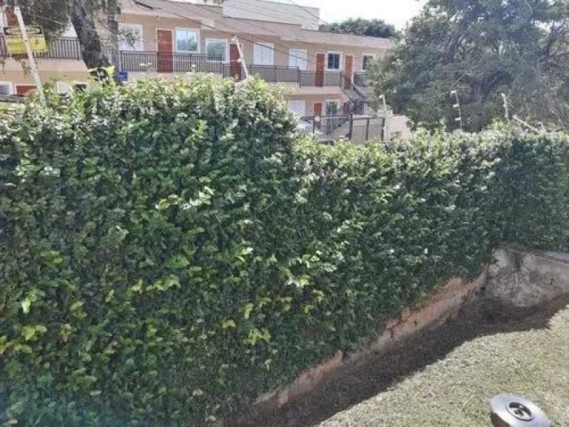 Qual o Preço de Serviço de Jardinagem e Manutenção Jardim São Paulo - Serviço de Jardinagem para Casas