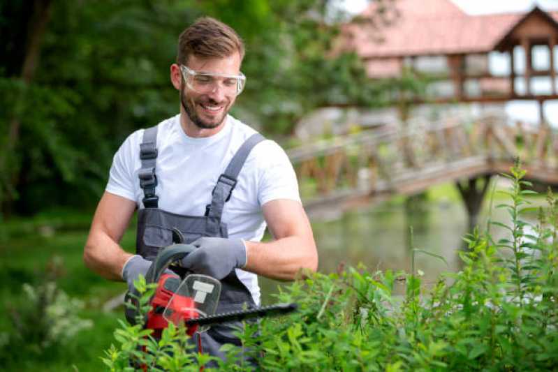 Qual o Valor de Manutenção de Paisagismo de Jardim Interlagos - Manutenção de Paisagismo e Jardinagem