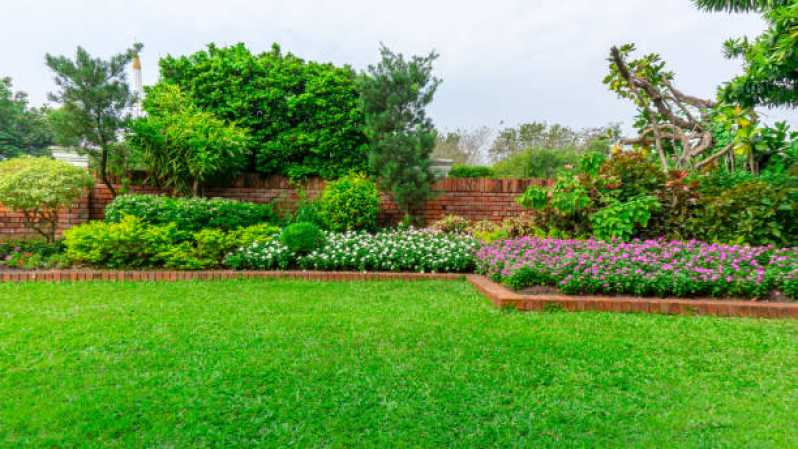 Qual o Valor de Manutenção de Paisagismo em Condomínios Parque Peruche - Manutenção de Paisagismo de Jardim