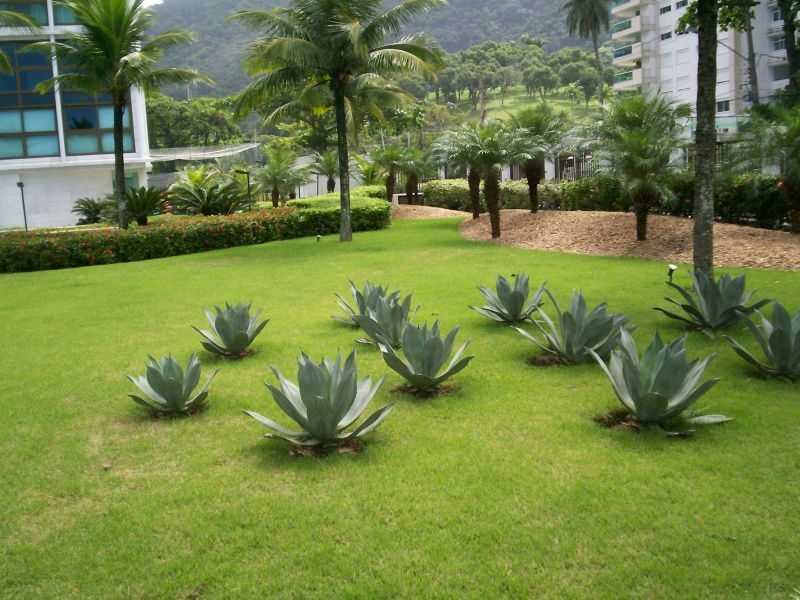 Quanto Custa Manutenção de Jardins Paisagismo Freguesia do Ó - Manutenção de Jardins em Condomínios