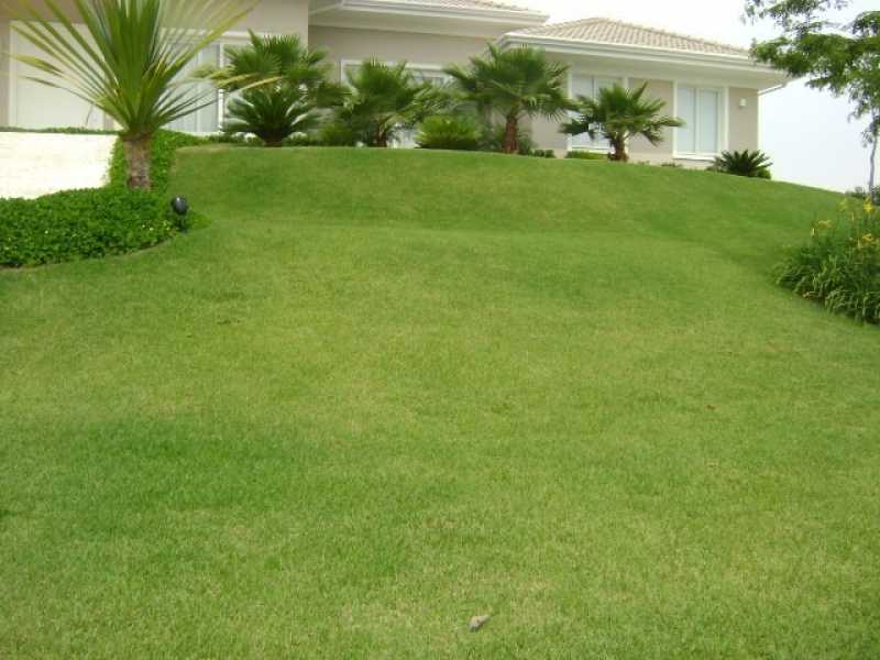 Quanto Custa Serviço de Jardinagem com Paisagismo Vila Cruzeiro - Serviço de Jardinagem com Paisagismo