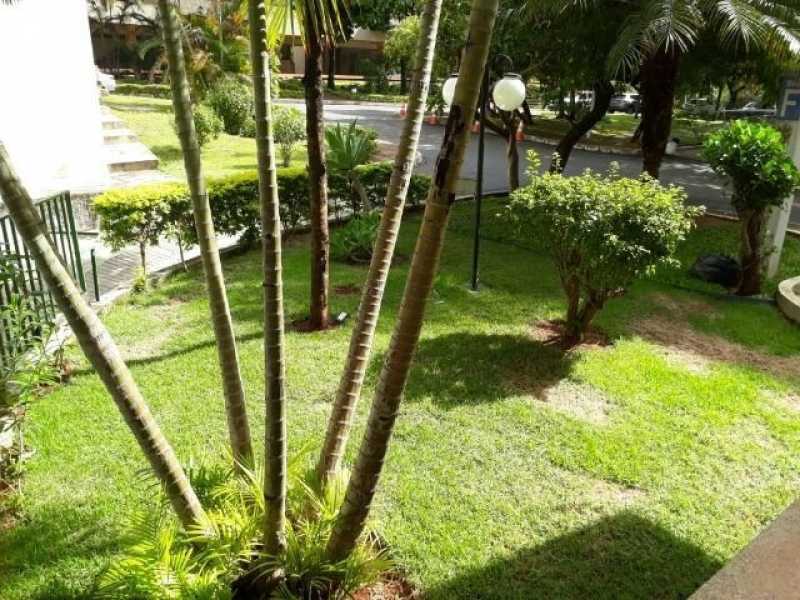 Quanto Custa Serviço de Jardinagem para Casas São Domingos - Serviço Jardinagem