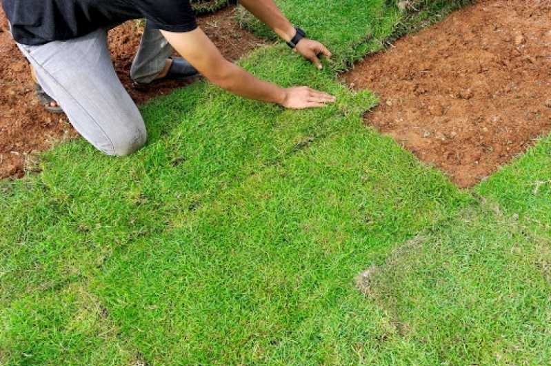 Reforma de Jardim em Condomínios Embu Guaçú - Reforma de Jardim e Paisagismo