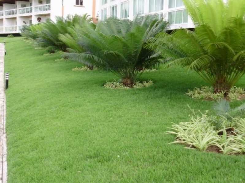 Serviço de Jardinagem com Paisagismo Preço Vila Mazzei - Serviço de Jardinagem com Poda