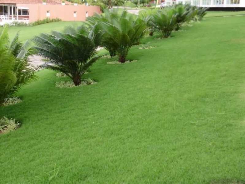 Serviço de Jardinagem e Manutenção Preço Poá - Serviço de Jardinagem para Casas