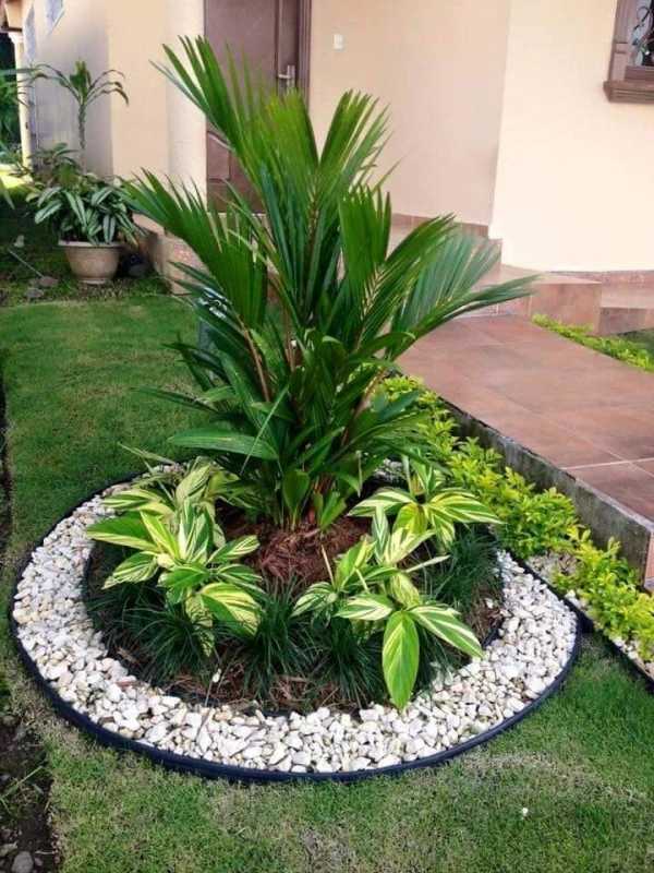 Serviço de Jardinagem e Paisagismo Carandiru - Serviço de Jardinagem para Praças