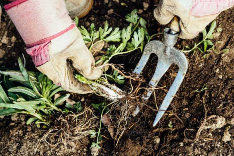 Serviço de Limpeza de Jardim em Condomínios Residenciais Preço Jardim Londrina - Serviço de Limpeza de Jardim