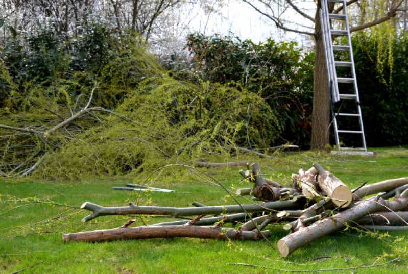 Serviço de Limpeza de Jardim em Condomínios Embu das Artes - Serviço de Limpeza de Jardim