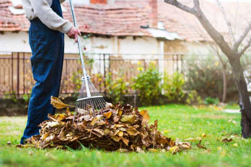 Serviço de Limpeza de Jardim Vertical Água Rasa - Serviço de Limpeza e Jardinagem em Condomínios