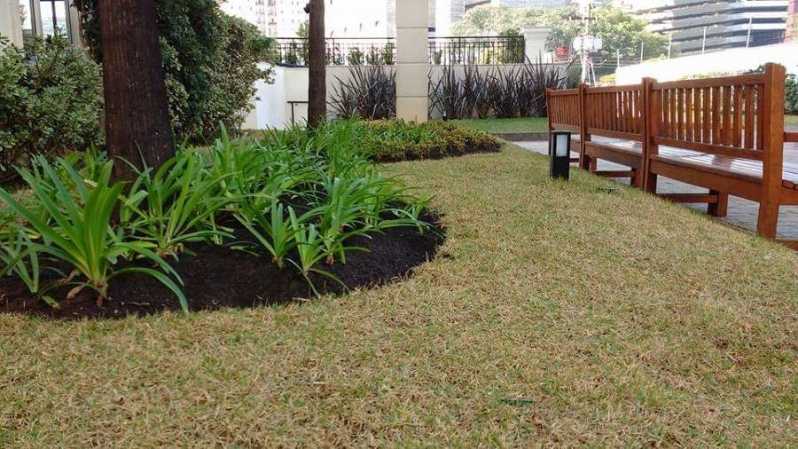 Serviço de Paisagismo e Manutenção Preços Vila Curuçá - Serviço de Paisagismo para Casas