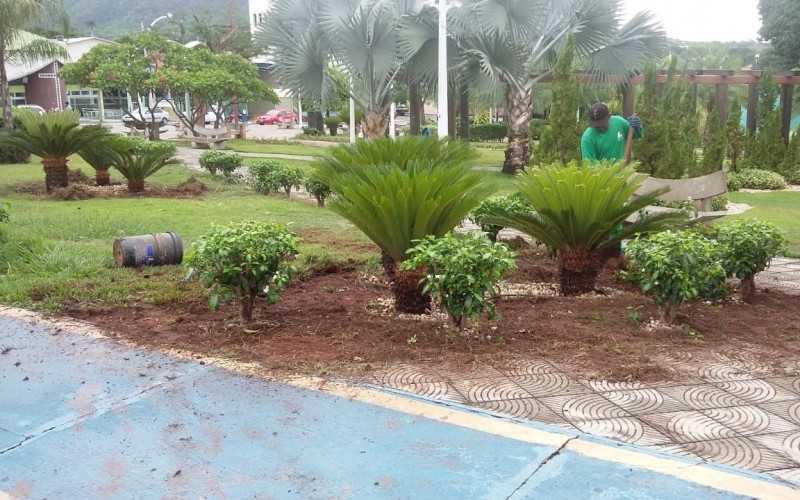 Serviço de Paisagismo para Praças Tatuapé - Serviço de Paisagismo