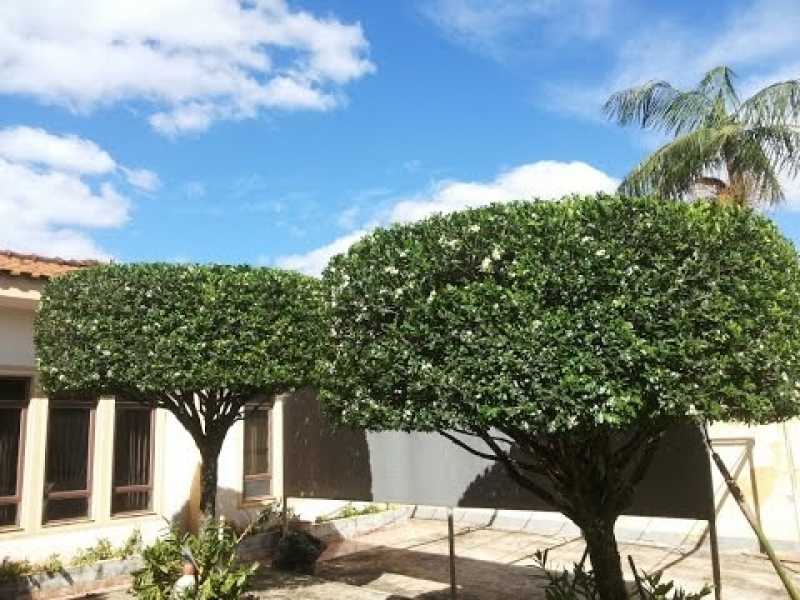 Serviço de Poda de árvores de Jardim Santa Teresinha - Poda de Jardim Residencial
