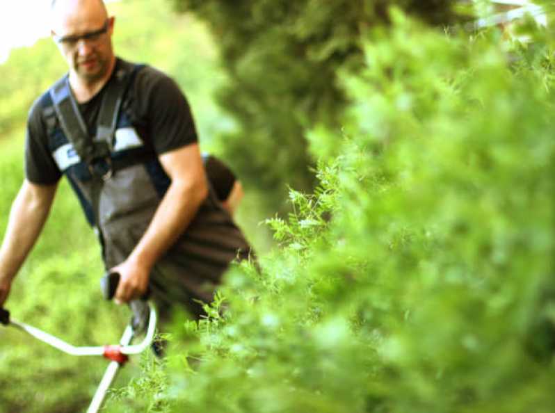 Telefone de Empresa de Manutenção em Jardim Vertical Vargem Grande Paulista - Empresa de Manutenção e Reforma de Jardins