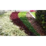 empresa de jardinagem Vila Matilde