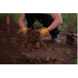 empresa de limpeza de terreno com máquina Sumaré