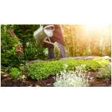 empresa de manutenção de jardins em condomínios residenciais Santana de Parnaíba