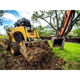 limpeza de terreno com roçadeira Santo André