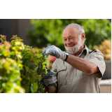 manutenção de jardinagem e paisagismo preço Pinheiros