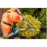 manutenção de jardins para empresas Mogi das Cruzes