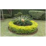manutenção e conservação de jardins Santana