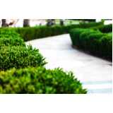 onde faz manutenção de paisagismo jardim externo Jardim Jussara