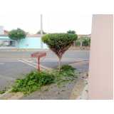poda de jardim residencial valor Biritiba Mirim