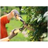 poda para plantas de jardim valor Imirim