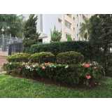 preço de poda de jardim profissional Região Central