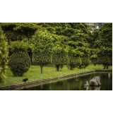 preço de poda de jardim Salesópolis