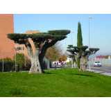 preço de poda oliveira jardim Jardim Paulistano