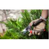 preço de poda para plantas de jardim Chácara Santo Antônio