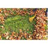 preço de serviço de limpeza de jardins verticais Jardim Franca